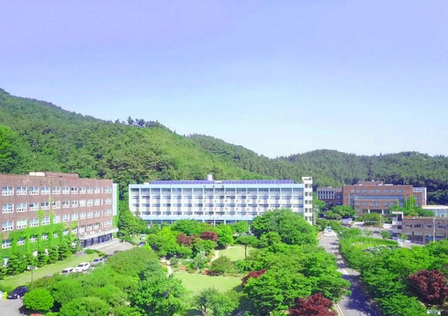 Trường Cao đẳng Suncheon Jeil (Suncheon Jeil College) - Cao đẳng trọng điểm của thành phố Suncheon